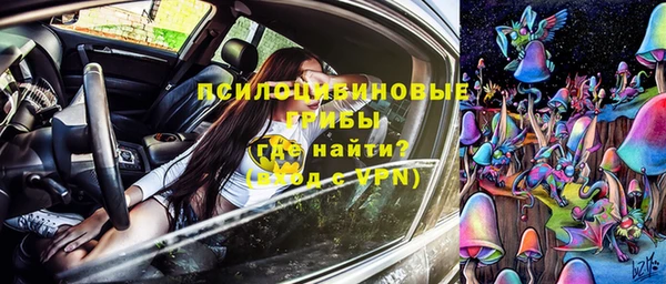 ALPHA PVP Осинники