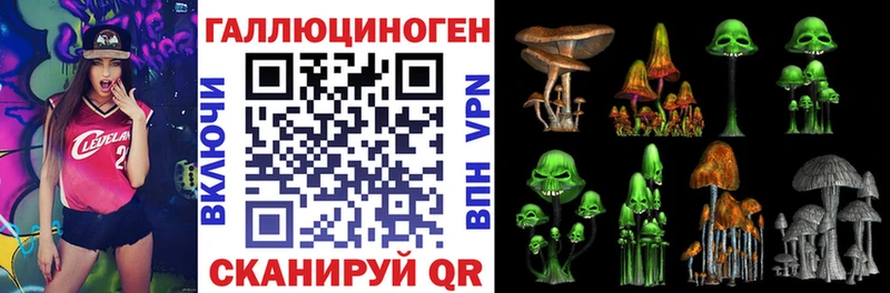Галлюциногенные грибы Magic Shrooms  Знаменск 